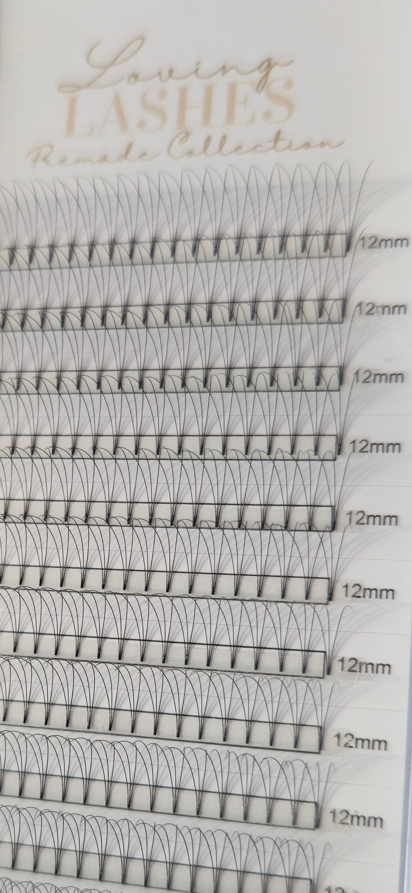 3D Flat Base 0.05 Premade Fans